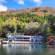 일본 큐슈 오이타 사이비가이드의 3박4일 여행기