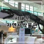 서울 서대문자연사박물관 입장료 겨울 아이랑 실내 가볼만한 곳