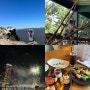 호주 시드니 여행 Day5 :: 블루마운틴+페더데일 동물원(시닉월드/ 코알라&캥거루)/ 로라마을(로라덤플링)/ 패디스마켓/ 달링하버 불꽃놀이
