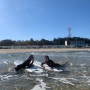 포항에서 겨울여행 하면서 서핑배우기 어떠세요?!