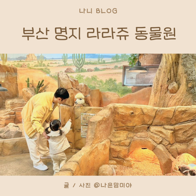 부산 아이와 가볼만한 곳 명지 라라쥬 실내동물원