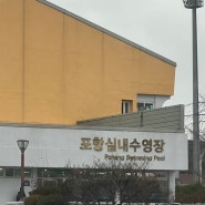 자유수영 원정대 | 포항종합운동장 포항수영장