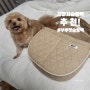 강아지 가방 추천 부투펫 가뚱백(강아지 비행기 가방, 기내용 가방, 고양이 가방, 강아지 산책가방)