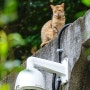 길고양이 겨울집·길냥이 급식소 위치와 CCTV. 씨씨티비로 안전 지키기
