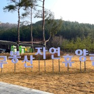 무봉산자연휴양림 화성캠핑장