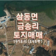 남해부동산 삼동면 금송리 730-1, 731