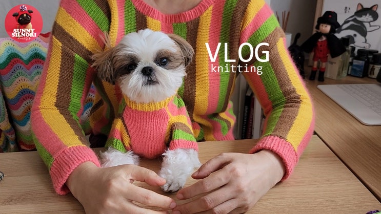 일인생활기록 18-Streamers Sweater 내옷이랑 강아지뜨개옷 셋뚜셋뚜로 완성,폴앤폴리나,명동교자, 산책하고 뜨개하는 ...