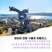 포항 가볼만한곳 피어라 미항 구룡포 여행코스