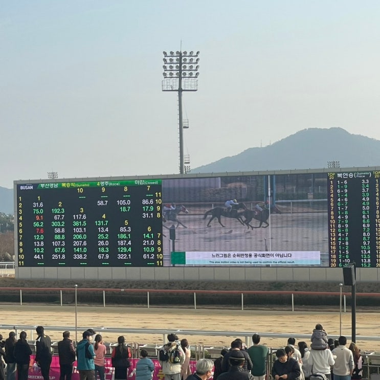 부산 경마장 운영시간[렛츠런파크 부산경남] 루키존 경마 후기