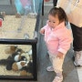 마산 창원 아기랑 가볼만한 곳 실내동물원 애니멀스토리 동물체험 가능
