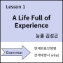 능률 중3 영어 Lesson 1 A Life Full of Experiences 현재완료진행형 관계대명사 what