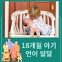 언어재활사가 알려주는 18개월 아기 언어발달