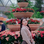 마곡역 놀거리 서울식물원 온실에서 스냅사진 찍기