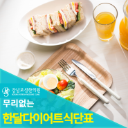 한달 다이어트 식단표 없이 6.5kg 빼는 비밀