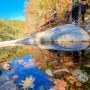 오대산 노인봉∼소금강, 오색으로 물들었던 가을날의 산책