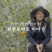 경기도를 넘어 전국 명품 퇴촌토마토의 주역, 대성농장 안인상 대표