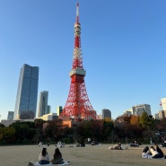 시바공원 :: 도쿄타워 뷰 예쁜 곳