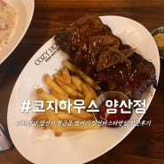 경남 양산시 물급읍 범어리 양산파스타맛집 코지하우스 양산점 방문후기