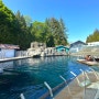 캐나다 밴쿠버 여행 아이랑 함께 가볼 만한 곳 밴쿠버 아쿠아리움(Vancouver Aquarium)
