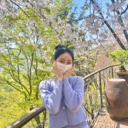 곤지암 화담숲 봄 벚꽃 모노레일 온라인예약 팁(일찍,늦게)