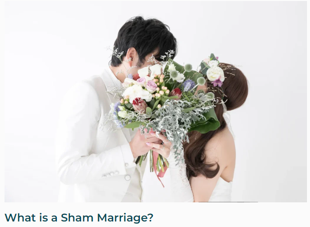오늘의 영어표현(2059) The whole thing is a sham! : 네이버 블로그