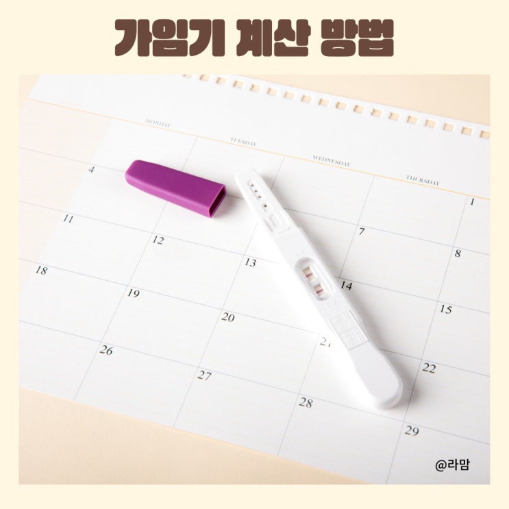 가임기때 임신확률 가임기 뜻 배란일 계산기 증상 : 네이버 블로그