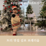 2023 크리스마스트리 맛집 : 김포 포레리움
