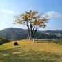 [골프 라운딩] 충남 아산 '아산 cc' 2인 가능 파3 골프장 추천(고양이 있음)