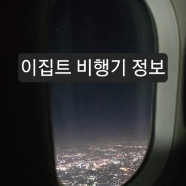 이집트행 비행기 정보