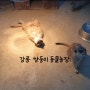 < 강릉 쌍둥이 동물농장 > 옥계 동물원 : 강릉 추천 여행지