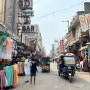 인도 뉴델리, 아그라 여행 #1 인도에 간 이유