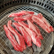 인천 주안동 맛집 [설화생갈비 주안점] 연말모임 회식장소 강추 고기집!