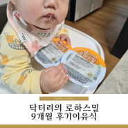닥터리의 로하스밀 9개월 무른밥 후기이유식