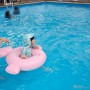 충남 예산 덕산 스파뷰호텔 아이와 놀기 좋은 미온수 실내수영장