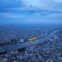 일본 자유 여행 도쿄스카이트리, 전망대 야경 :-)