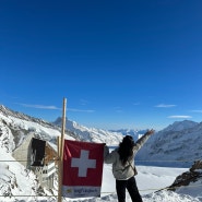 스위스 여행 : 인터라켄 골든이글탠덤 패러글라이딩 융프라우 신라면