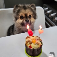 박싼초 축6살 생일축하!