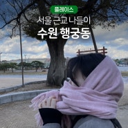 [수원|행궁동] 서울에서 단 20분, '행궁동' 나들이