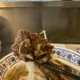 [대구]동성로 속 베트남음식점·쌀국수맛집 "까오"