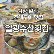 부산 기장 일광 조개구이 맛집 ‘일광수산횟집’