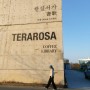 겨울 강릉 - 테라로사 경포호수점