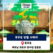 푸꾸옥 빈펄 사파리 – 베트남 최초의 반야생 동물원