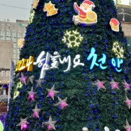 천안 겨울 가볼만한 곳 신세계 터미천안세계크리스마스축제🎄 천안문화도시 윈터 페스타 신부문화공원