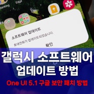 갤럭시 소프트웨어 업데이트, 노트20에 One UI 5.1 구글 보안 패치 적용 방법