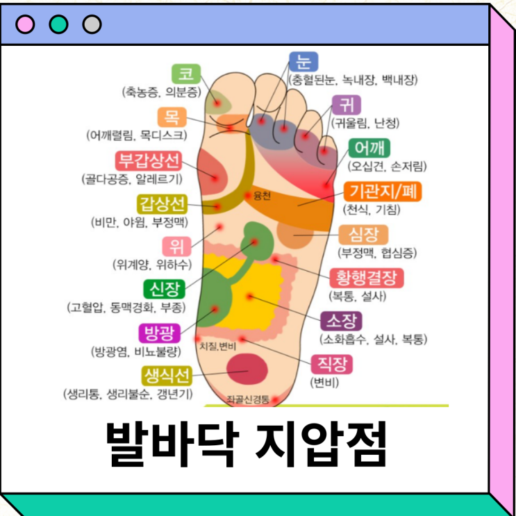 발바닥 지압 혈자리 효과 두통 소화불량 불면증 변비 전립선 : 네이버 블로그