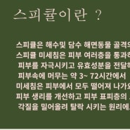 모공수축 부터 탄력관리를 위한 셀큐라스킨케어