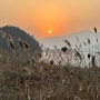 경기둘레길 팔당물안개공원 애견 동반 산책 코스 추천(주차, 입장료, 화장실)