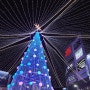 부산 남포동 트리축제 "광복로 겨울빛 트리축제" 크리스마스 ♥