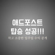애드 포스트에 탑승 성공 작고 소중한 일주일 수익 공개