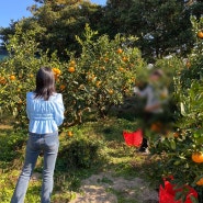 꽉찬 옷장 돌아보기 ㅣ 옷을 사지 않기로 했습니다 - 이소연